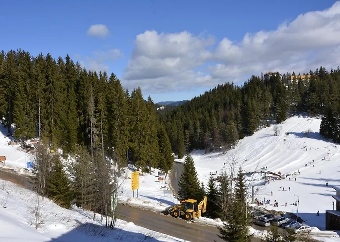 Palaсe A75 Pamporovo